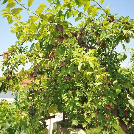 Miranda Apartament Trogir