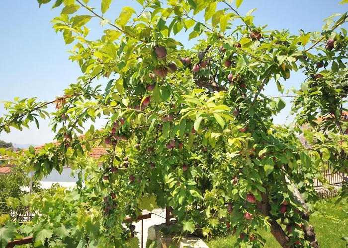 Miranda Διαμέρισμα Τρογκίρ